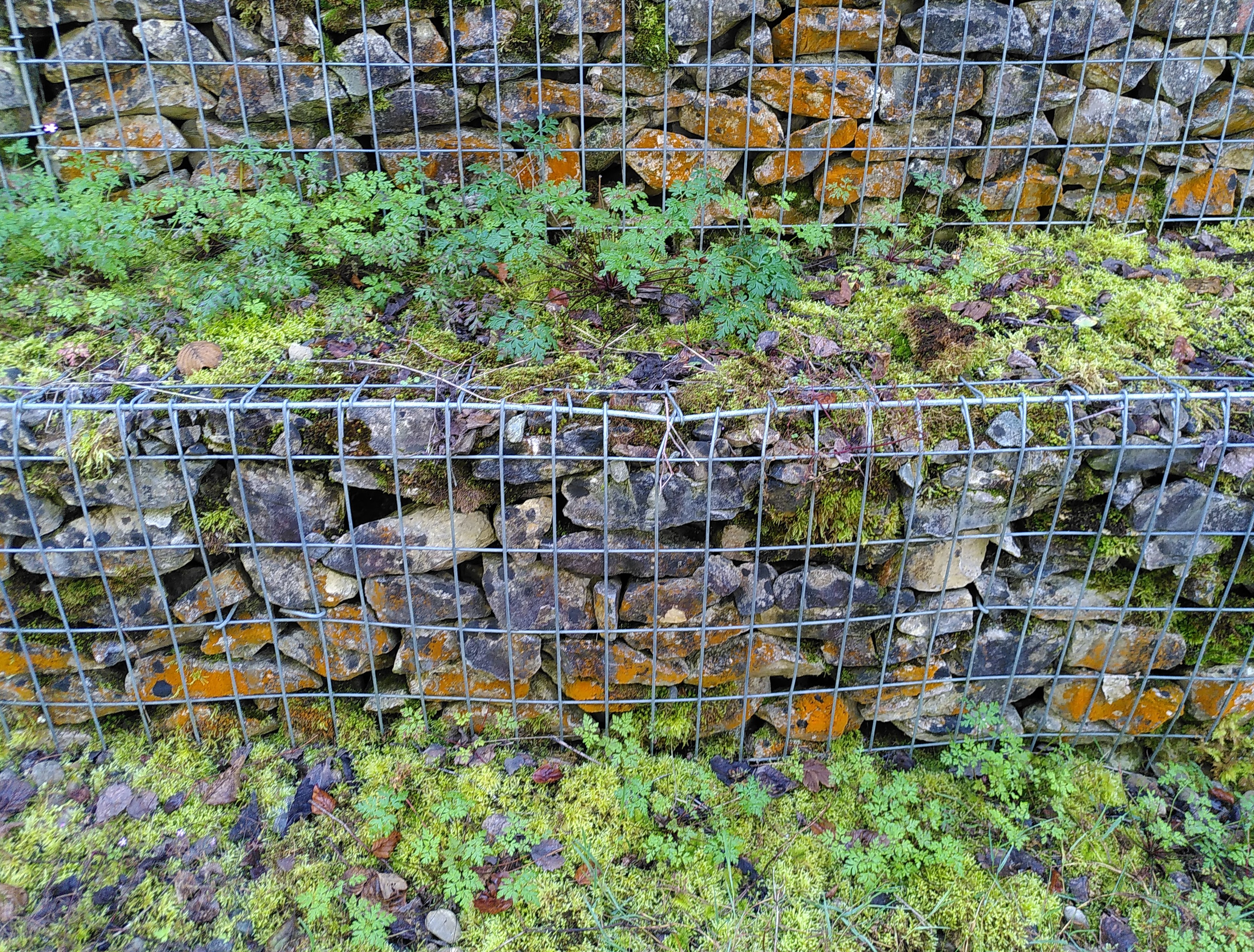 Alles unter Kontrolle 2